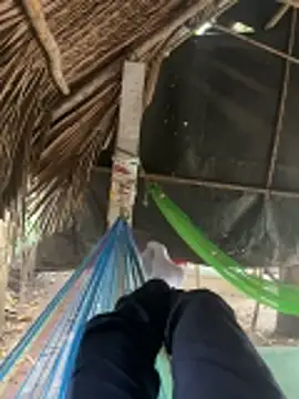 Cubuzinu online show from February 27, 3:29 am