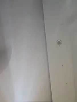 dishant 1686 online show from November 22, 10:37 am