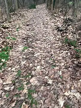 marconordic online show from February 7, 2:24 pm