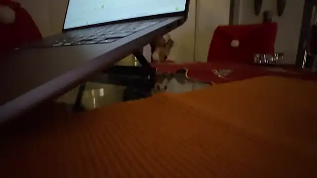 AndyLD20x6 online show from December 3, 11:22 pm