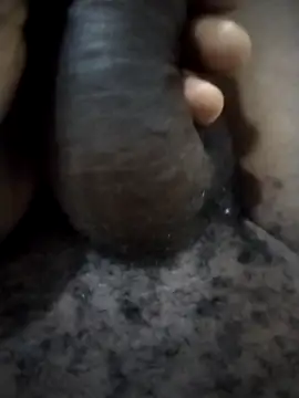 Piazza21 online show from February 11, 4:50 am