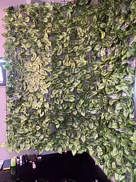 MarvinandtheBbys online show from February 26, 7:37 pm