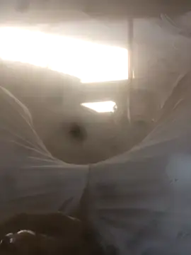 arsdeep1989 online show from March 8, 8:51 am