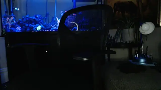 EspanolVato online show from March 18, 9:12 am