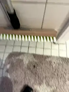 Hamsterdich online show from January 18, 3:58 pm