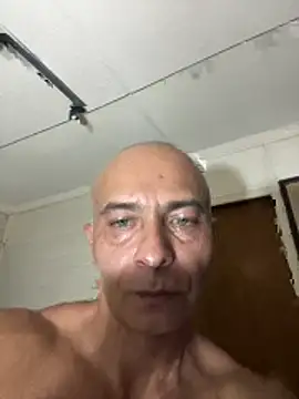 dogfrota online show from February 4, 10:38 pm