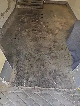 quetsa online show from March 20, 2:37 am