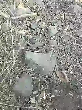 Cute Boy 4 online show from March 9, 8:41 am