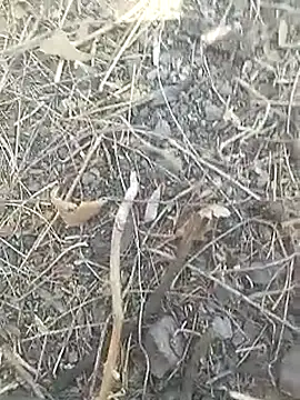 Cute Boy 4 online show from March 16, 7:45 am