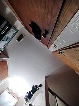 chad23162 online show from February 13, 4:56 pm