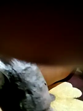 SexfreakN22 online show from February 11, 8:36 pm