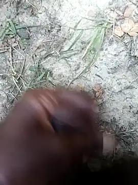 kalai 32 online show from February 3, 6:40 am