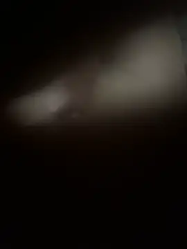 zo-19cm online show from April 6, 2:19 am