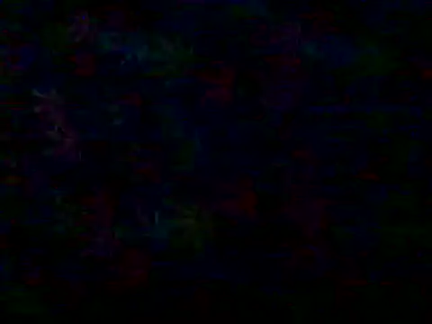 libraxxxstudios online show from June 28, 12:33 pm