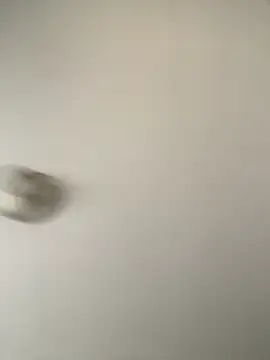 pussyeater - online show from April 3, 9:22 pm