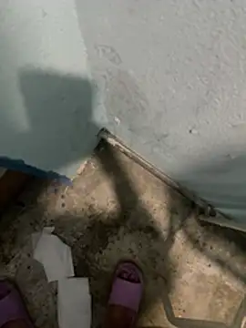 tardecaliente online show from March 10, 6:52 am