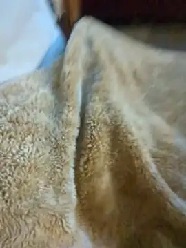 banans78 online show from March 13, 12:02 pm