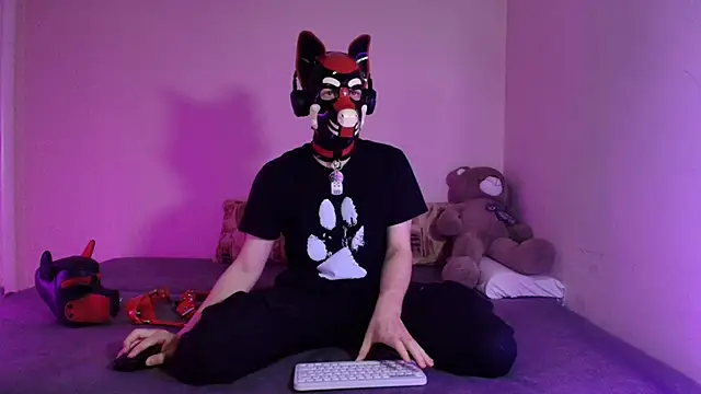 K9 GoodBoy online show from March 27, 7:26 pm