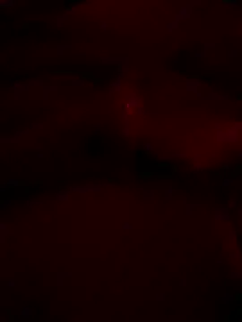 shark822 online show from May 31, 8:21 pm
