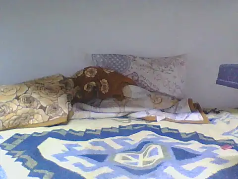 ahmetsoner0249 online show from April 24, 6:21 pm