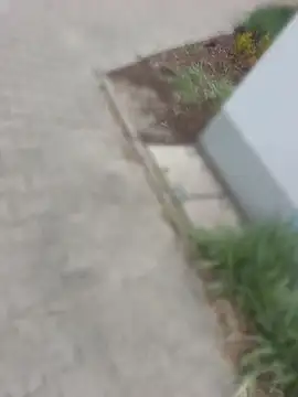 MarekPublicShow online show from April 14, 5:29 am