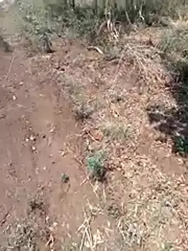 new sexy couple online show from April 7, 7:19 am