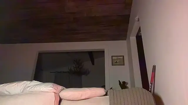 DylanBrook online show from June 1, 4:57 am