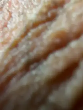 Aleks91200 online show from May 2, 4:54 pm
