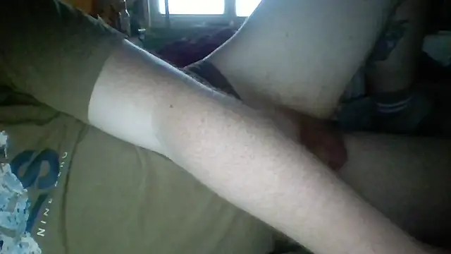 Pallmees online show from June 30, 12:17 pm