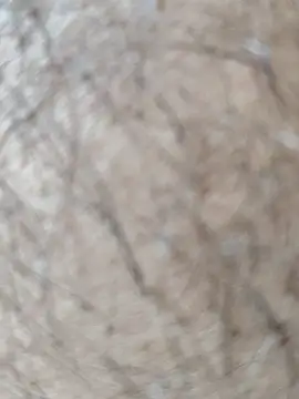 Virat75559 online show from April 21, 7:47 am