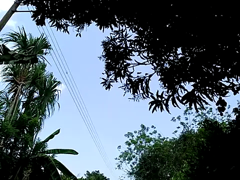 rtv199 online show from May 7, 3:23 pm