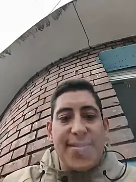 Tiger cryad online show from August 4, 11:26 am