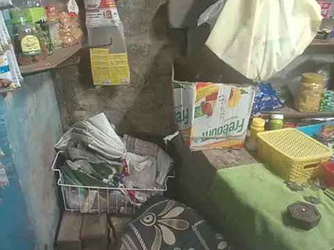 FriskyGender online show from November 5, 12:29 pm