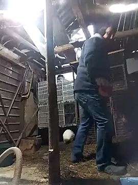 sarpe4 online show from February 21, 5:19 am