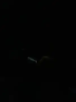 Jonehau online show from June 24, 7:28 pm