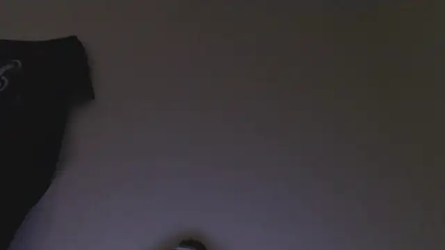 florida0217 online show from January 6, 11:42 pm