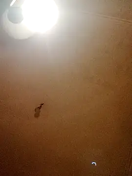 Snapshot of Bigdick666cm chatting on September 14, 4:42 pm Bigdick666cm online show from September 14, 4:42 pm