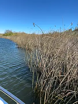 Goonwithoutclinching online show from January 10, 9:06 pm