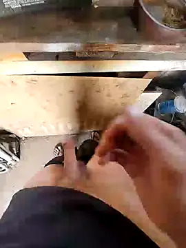 bighornycockup online show from December 26, 11:35 pm