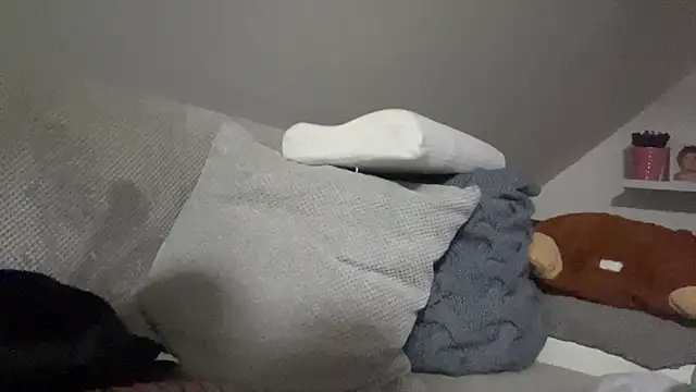 petuletra online show from October 13, 11:22 pm