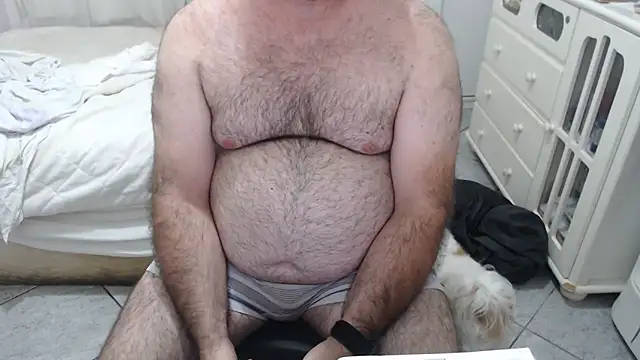 MysterBearMG online show from November 15, 12:34 am