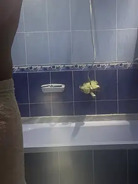 Arabien Pharaoh- online show from March 20, 5:58 pm