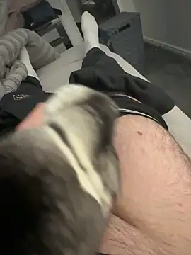 Furdale online show from December 3, 3:40 pm