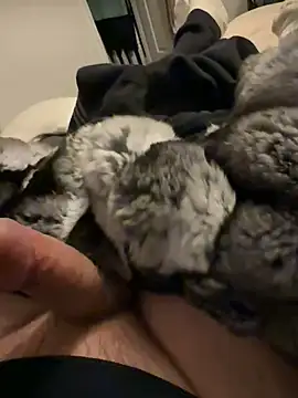 Furdale online show from February 3, 6:35 pm