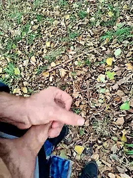 Boring one online show from October 29, 2:09 pm