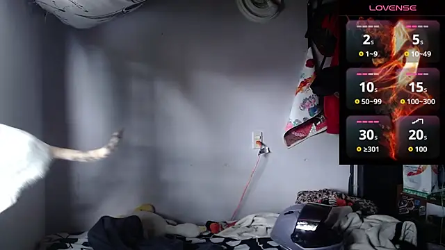 Apolo S online show from March 21, 3:16 pm