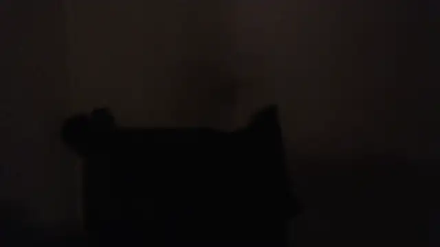 AlexNudo online show from February 20, 6:19 am