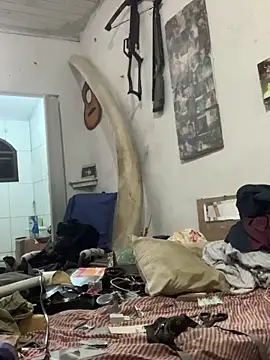 raphadoors19 online show from December 20, 5:03 am