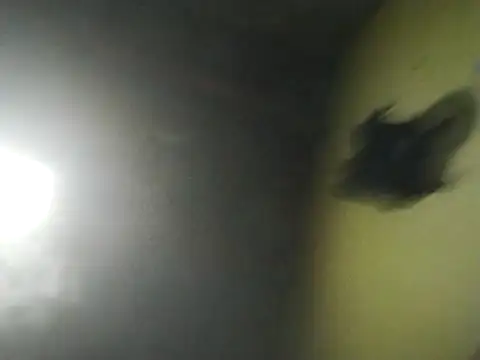 jrfm14 online show from February 17, 5:50 am