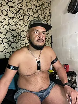 the master foal  online show from April 11, 7:15 am